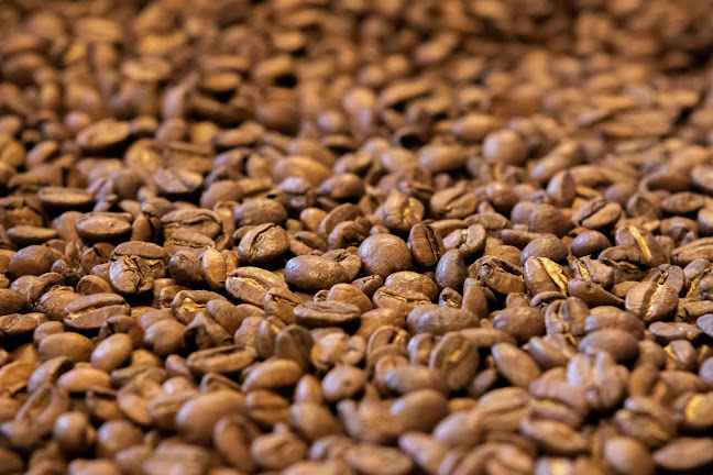 Reviews of Bay Coffee Company in Tauranga - Coffee shop