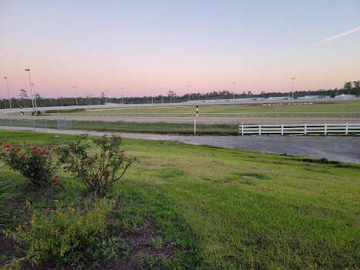 Casino «Delta Downs Racetrack Casino Hotel», reviews and photos, 2717 Delta Downs Dr, Vinton, LA 70668, USA
