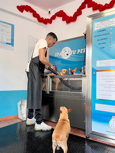 Spa tu perro en Montserrat, Valencia