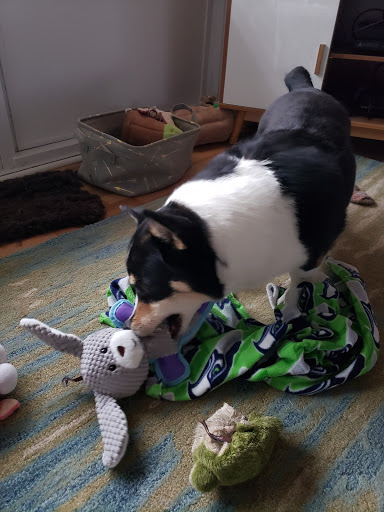 Pet Supply Store «Mud Bay», reviews and photos, 2410 Harrison Ave NW, Olympia, WA 98502, USA