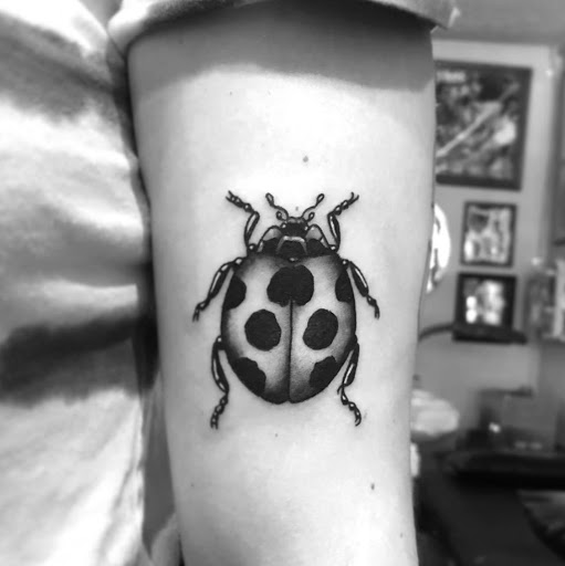 Explore growth tattoo ideas for guys, creative tattoo ideas in Lawrence, available at Standard Electric Tattooing