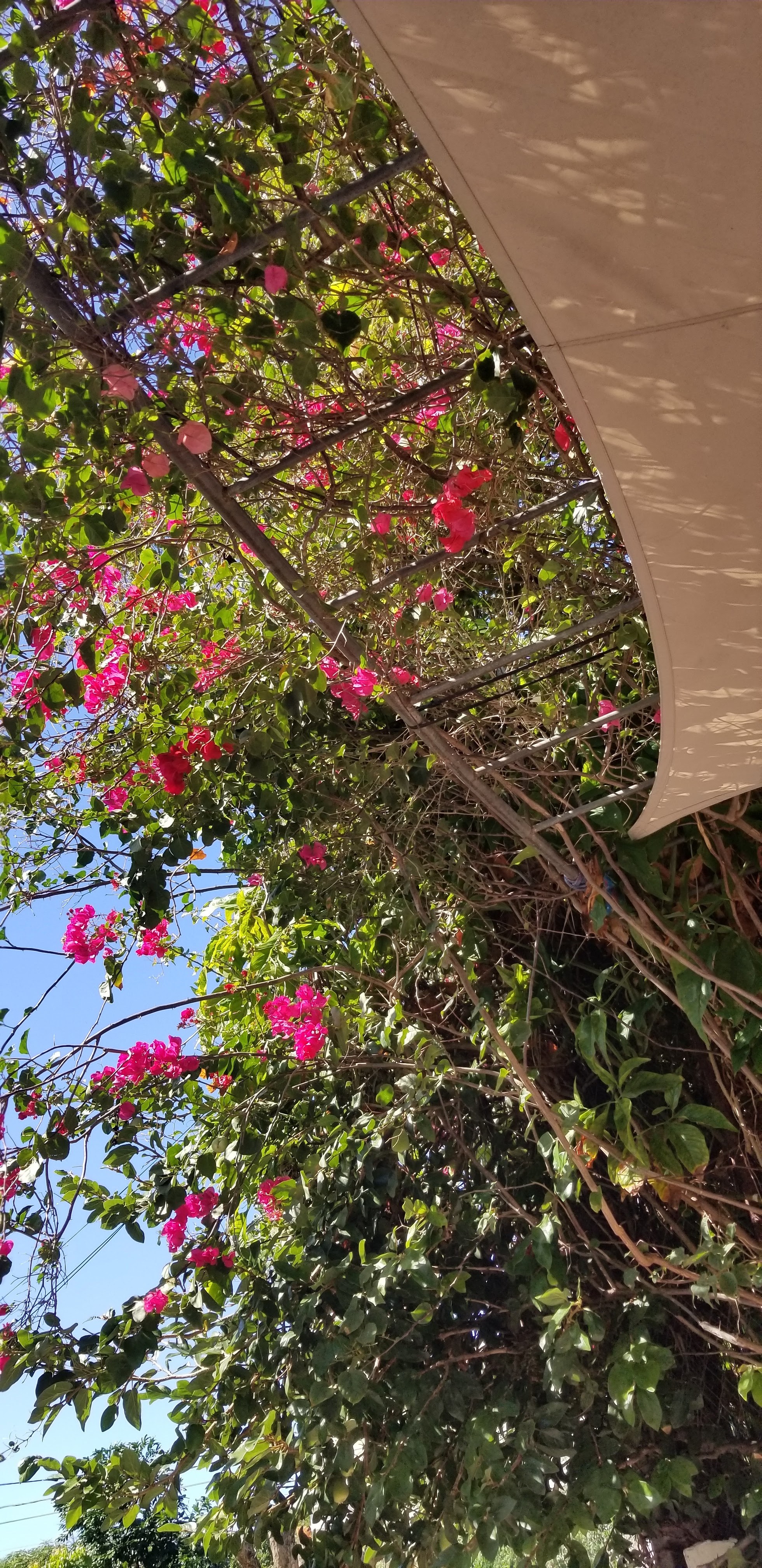 Photo n° 2 de l'avis de Elodie.a fait le 16/07/2019 à 09:10
