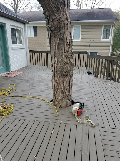 Pac Attack tree service