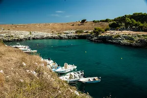 Cave of Porto Badisco image