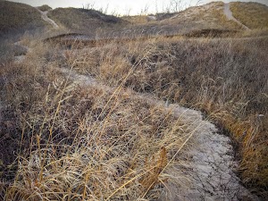 Kohler-Andrae State Park - photo 69