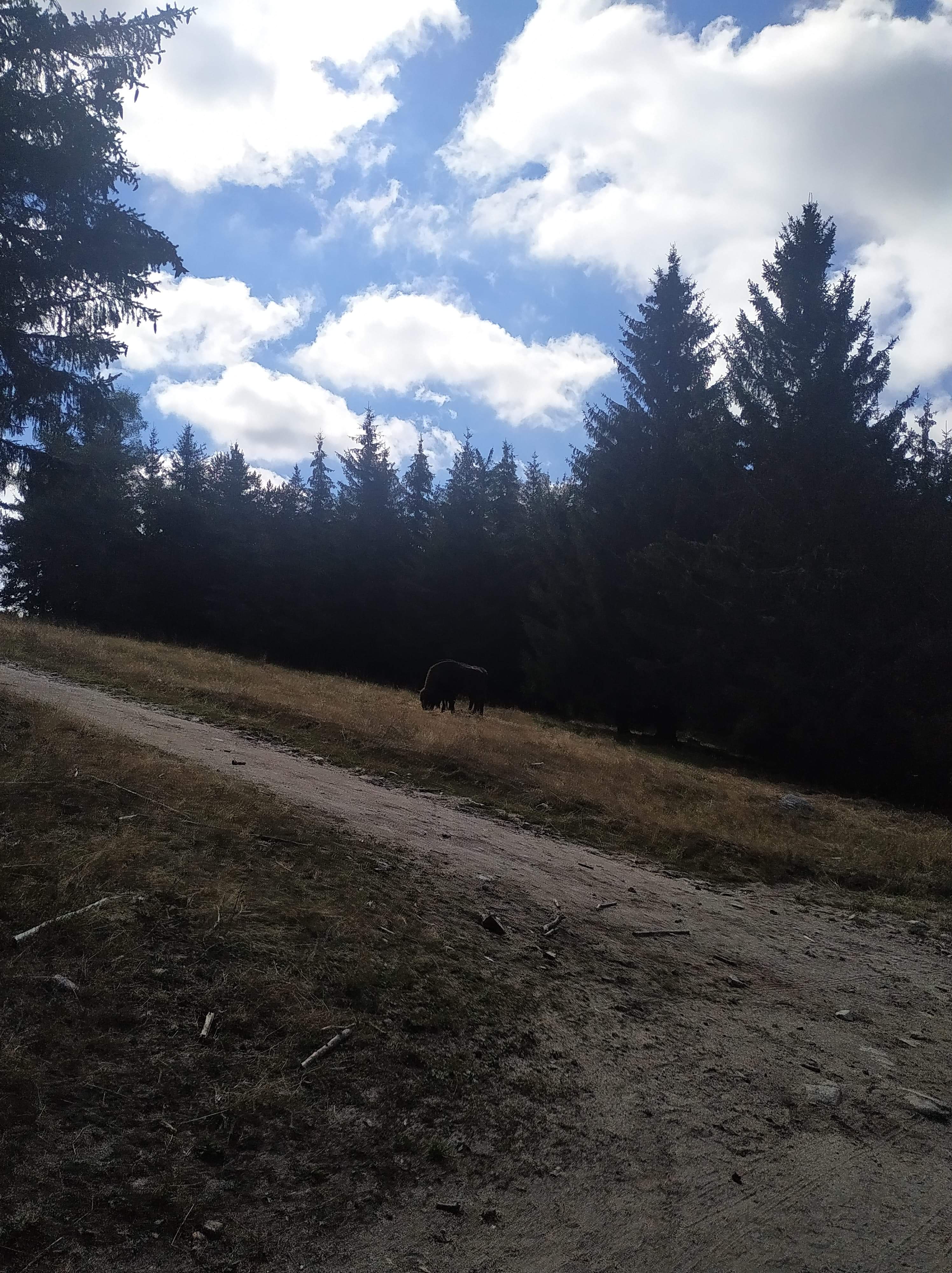 Photo n° 1 de l'avis de sylvain.o fait le 06/09/2020 à 15:14