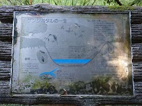 ホタルの里 あやめ苑