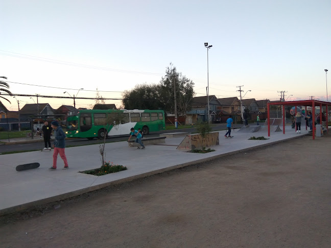 Skatepark La Farfana - La Ruta del Skate - Tienda de deporte