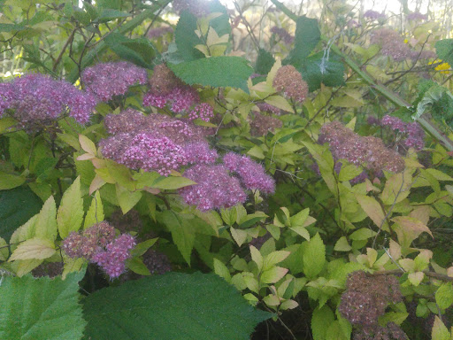 Park «Sacajawea Park», reviews and photos, 1401 S Dash Point Rd, Federal Way, WA 98003, USA