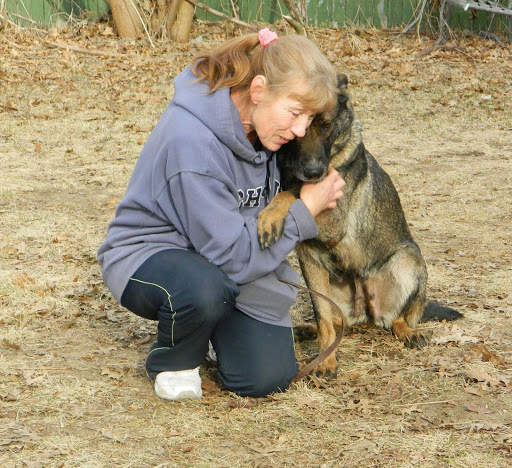 Pet Supply Store «Premier Pet Supply», reviews and photos, 15399 Merriman Rd, Livonia, MI 48154, USA
