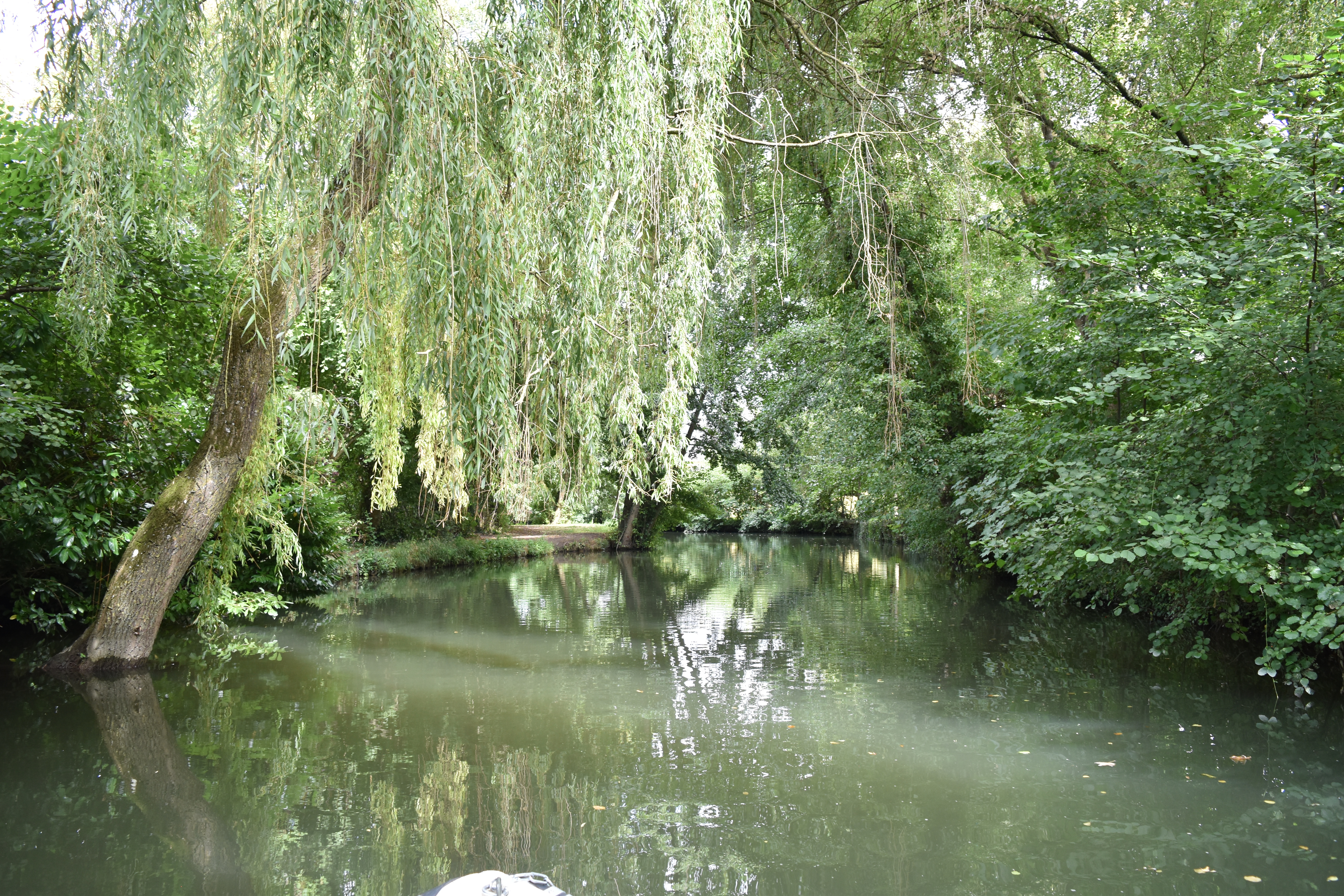 Photo n° 6 de l'avis de Sylvain.h fait le 23/08/2022 à 18:45