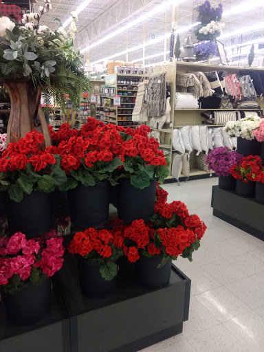 Craft Store «Hobby Lobby», reviews and photos, 10045 W McDowell Rd, Avondale, AZ 85392, USA