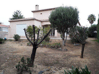 EA Espaces Verts du Littoral à Canet-en-Roussillon