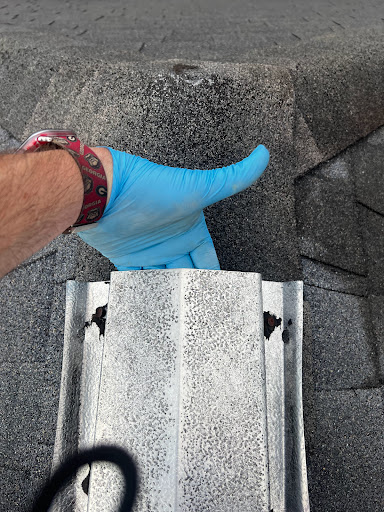 Animal Control Service «Xceptional Wildlife Removal», reviews and photos