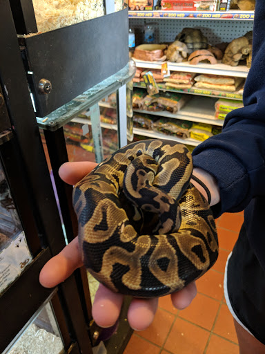 Pet Store «Pets Plus Inc», reviews and photos, 2610 Jefferson Davis Hwy, Stafford, VA 22554, USA