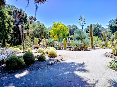 Arizona Garden