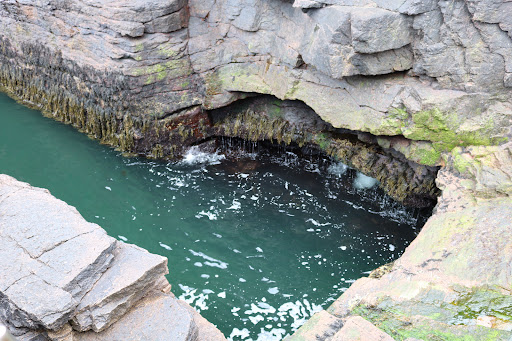 Sightseeing Tour Agency «Acadia National Park Tours», reviews and photos, 53 Main St, Bar Harbor, ME 04609, USA