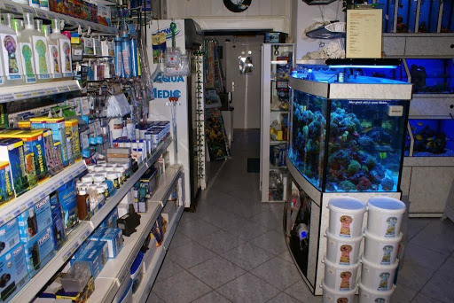 Fischers Riffgrotte - Meerwasseraquaristik Fachgeschäft | Onlineshop unter Erlangen, 