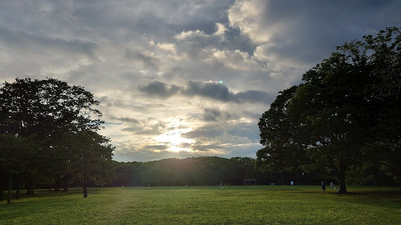 代々木公園 中央広場（代々木公園）