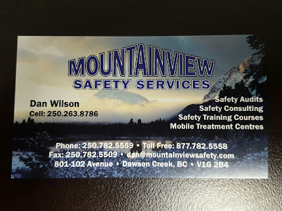 Mountainview Safety Svc Ltd