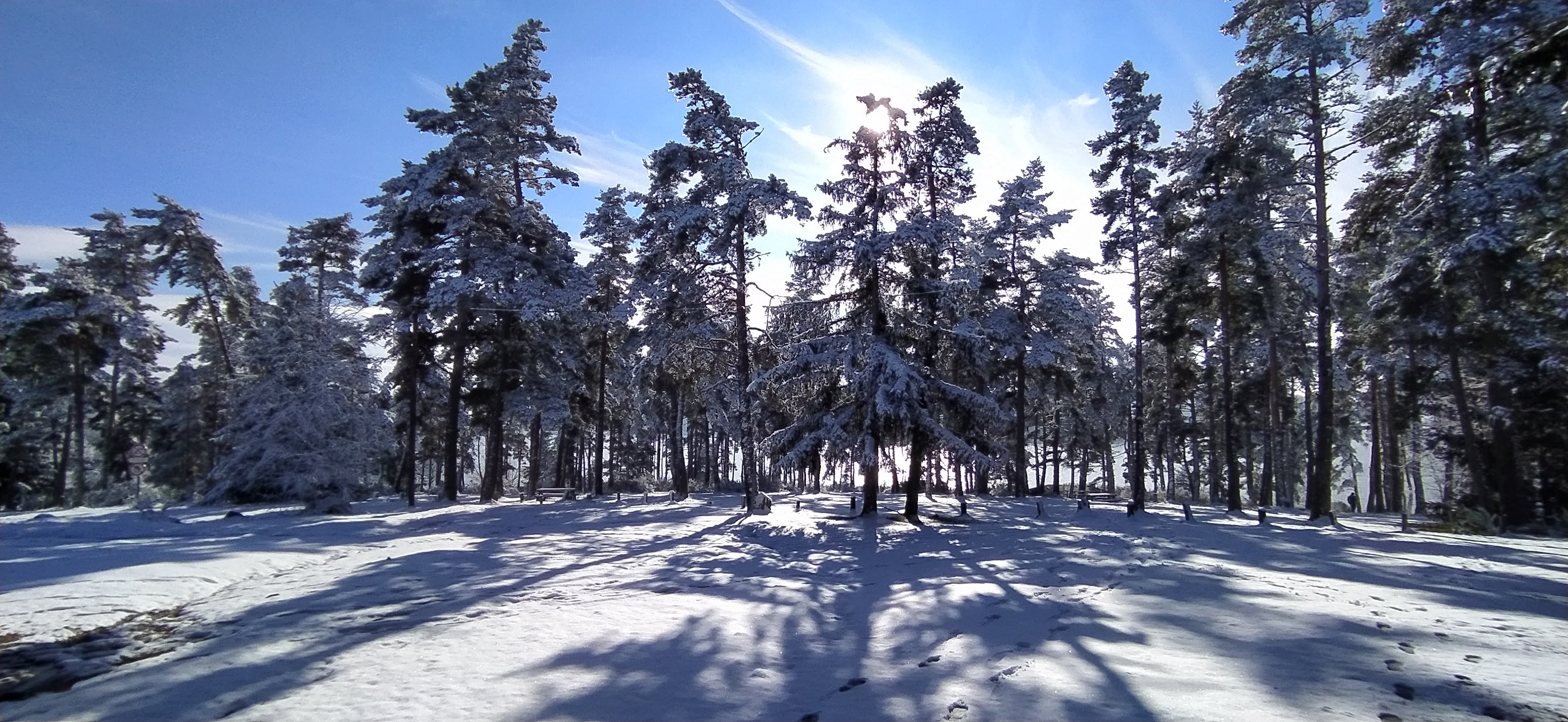 Photo n° 6 de l'avis de J'M. fait le 14/03/2021 à 06:16