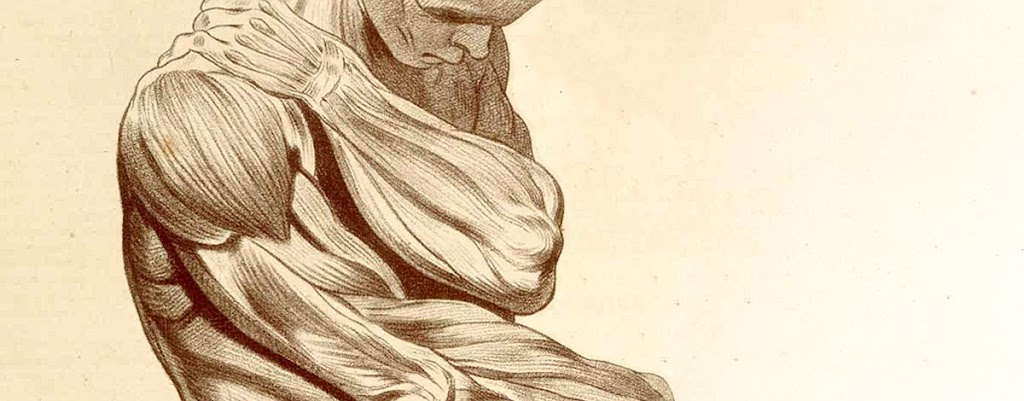 Roman Massage & Fitness 45042
