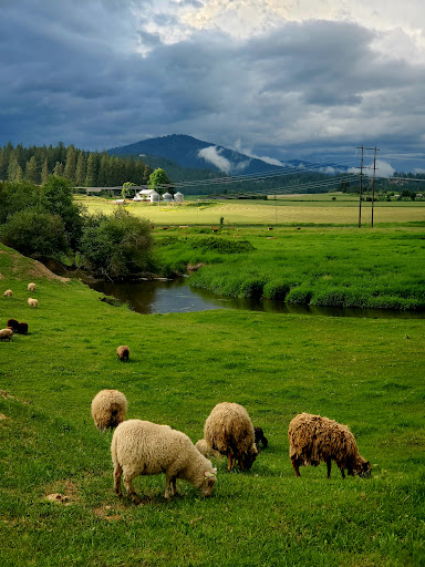 River's Edge Ranch LLC