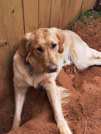 Union County Veterinary Clinic image