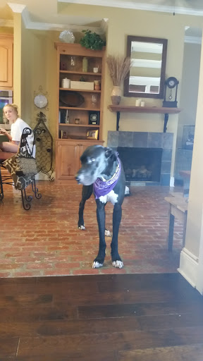 Golf Course «Beaver Creek Park & Golf Course», reviews and photos, 1100 Plains-Port Hudson Rd, Zachary, LA 70791, USA