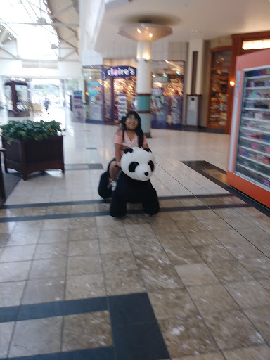 Department Store «Sears», reviews and photos, 2197 Dave Lyle Blvd, Rock Hill, SC 29730, USA