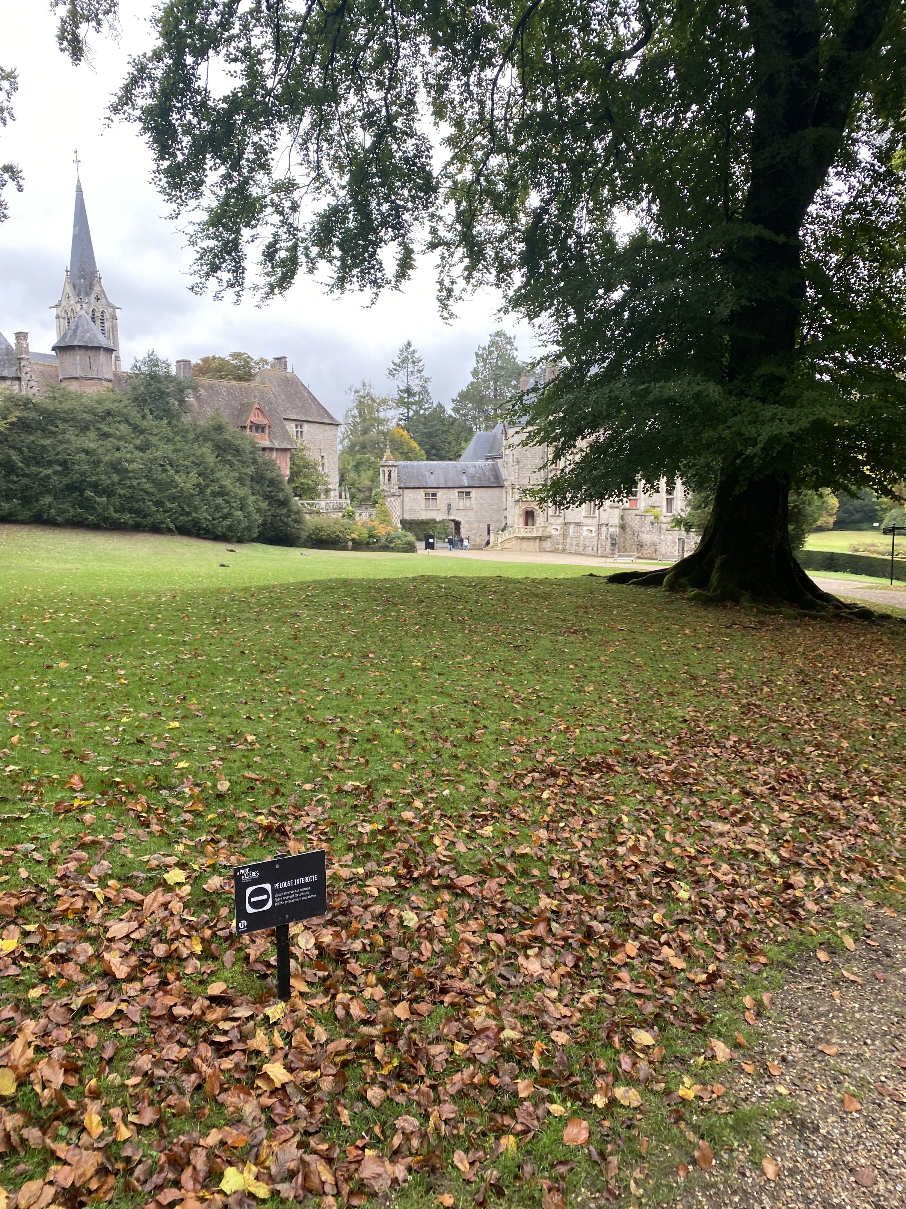 Photo n° 2 de l'avis de camy.e fait le 31/10/2022 à 12:05