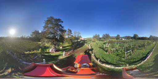Winery «Wisteria Farm and Vineyard», reviews and photos, 1126 Marksville Rd, Stanley, VA 22851, USA