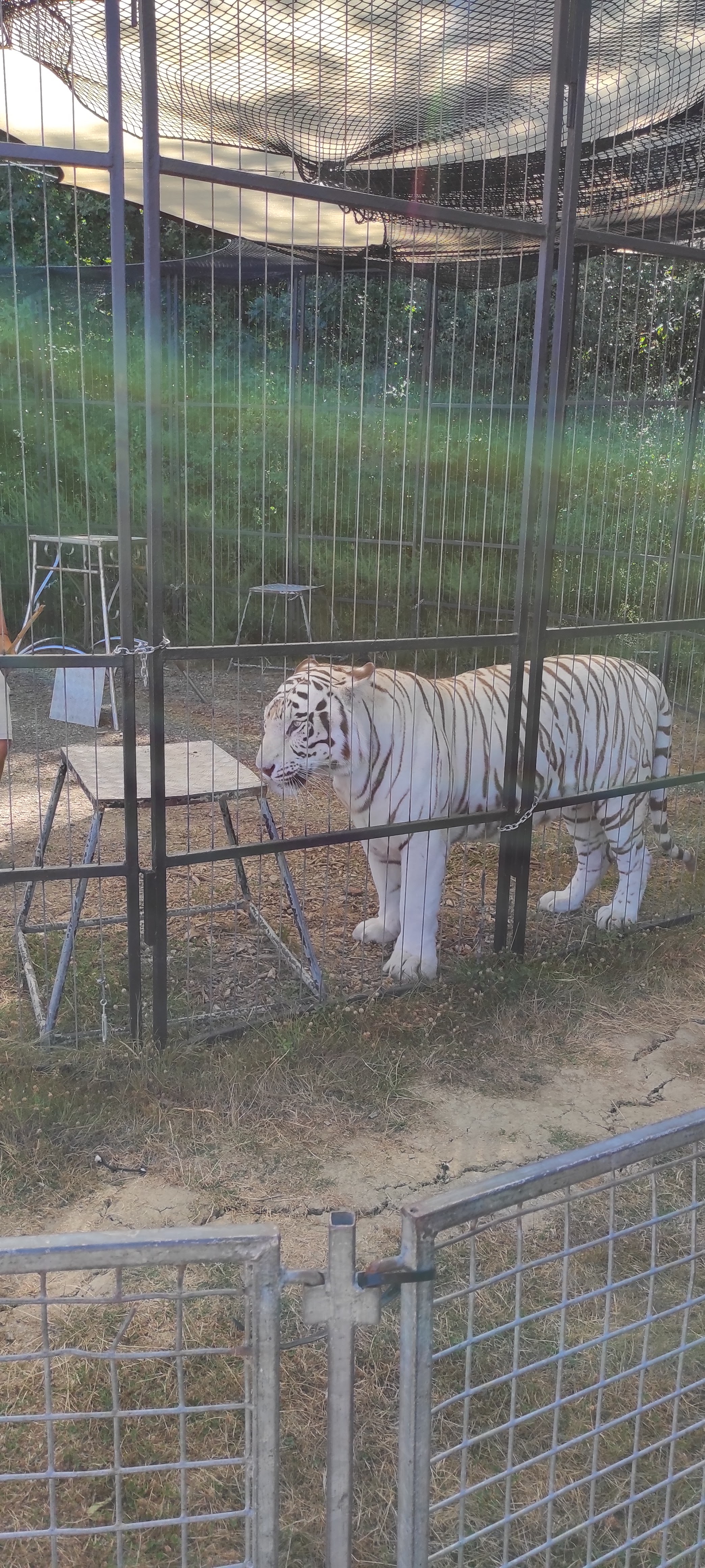Photo n° 4 de l'avis de Philippe.a fait le 16/08/2022 à 05:29
