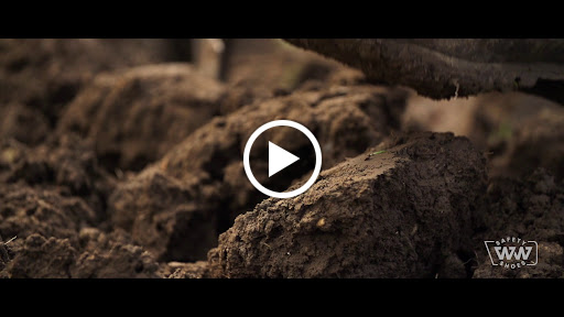 Shoe Store «Work Wear Safety Shoes», reviews and photos, 1000 Lupo Dr, Dallas, TX 75207, USA