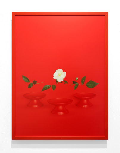 Art Gallery «Barbara Krakow Gallery», reviews and photos, 10 Newbury St, Boston, MA 02116, USA