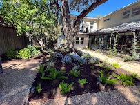Top Of The Line Landscapes - Photo 8 - Car repair in Round Rock, TX, Round Rock