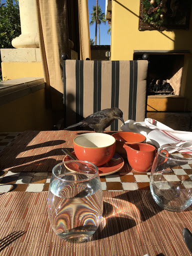 Resort «Omni Scottsdale Resort & Spa at Montelucia», reviews and photos, 4949 E Lincoln Dr, Scottsdale, AZ 85253, USA