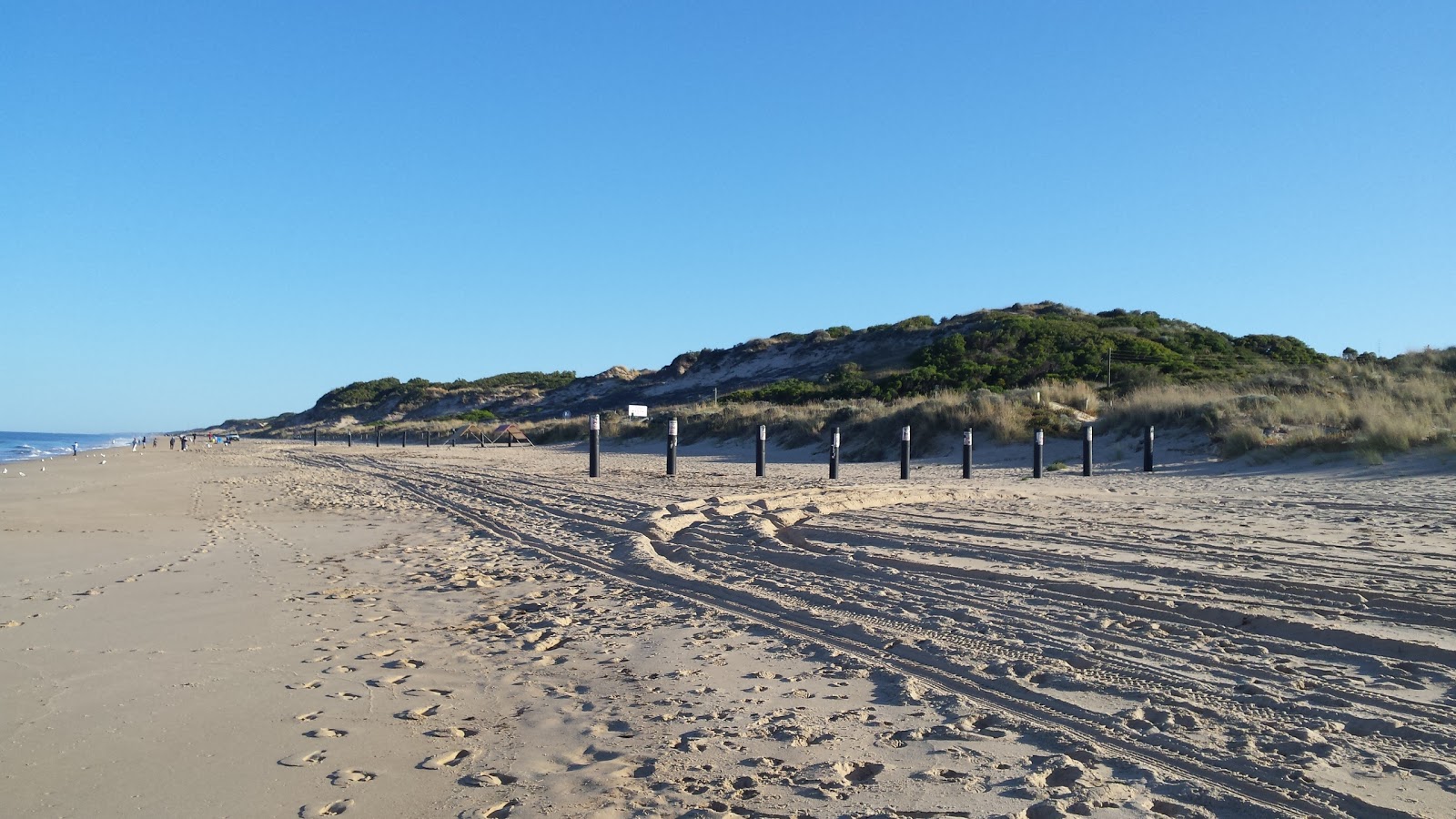 Foto von Myalup Beach annehmlichkeitenbereich