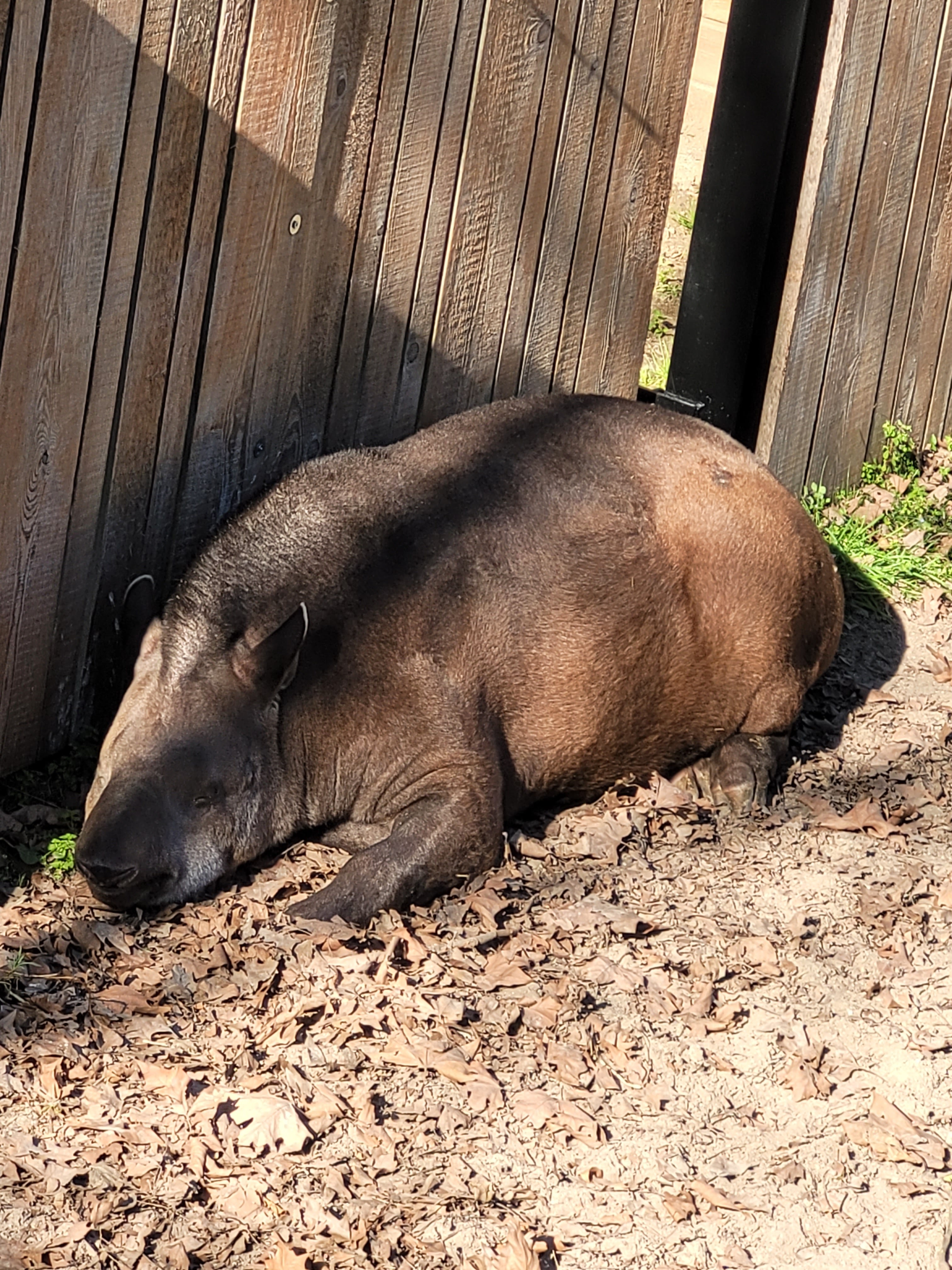 Photo n° 3 de l'avis de Jean.h fait le 28/02/2023 à 21:15