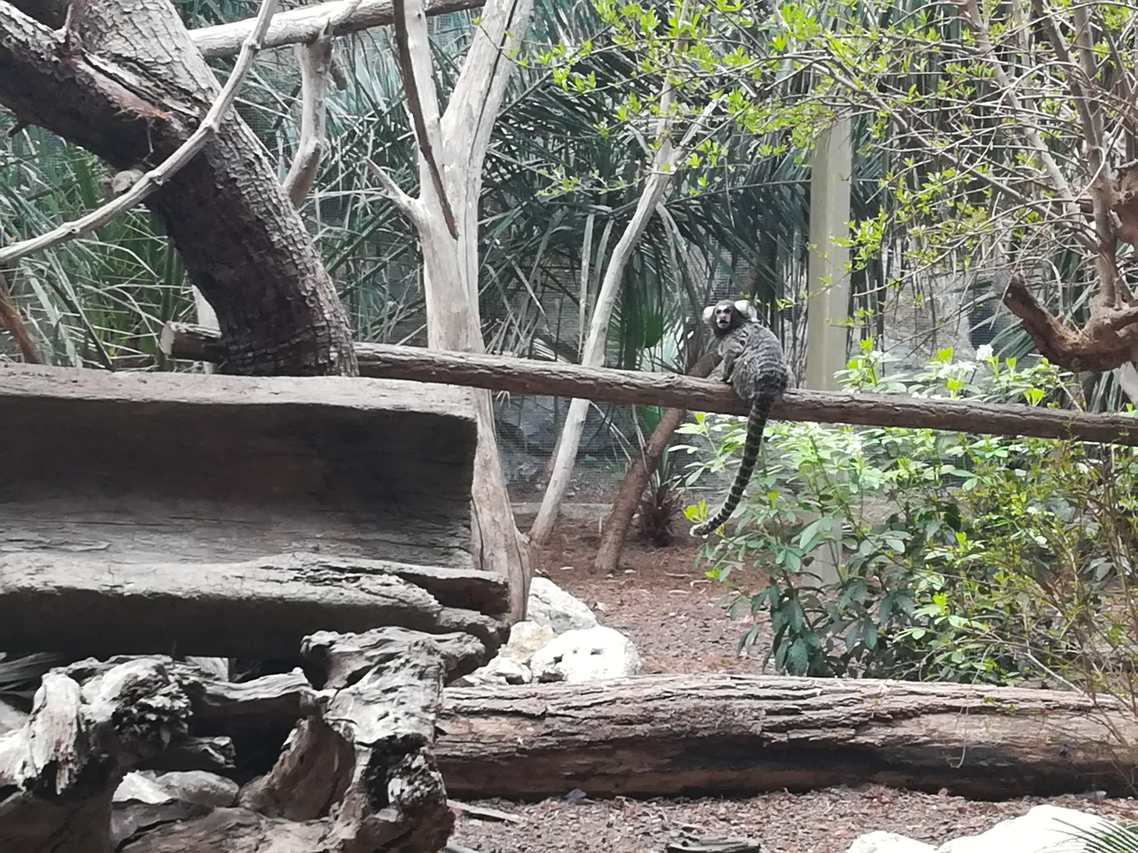 Photo n° 6 de l'avis de Sarah.L fait le 21/04/2018 à 18:44