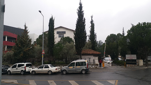 Diş Hekimliği Fakültesi