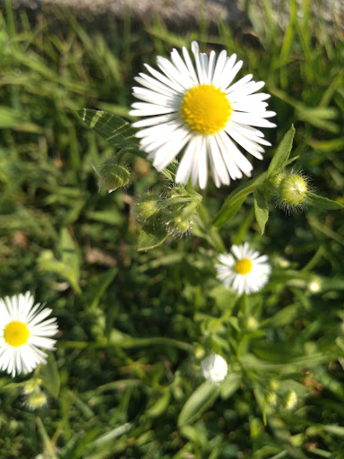 Park «Lake Shore Park», reviews and photos, 9610 E Shore Dr, Oak Lawn, IL 60453, USA