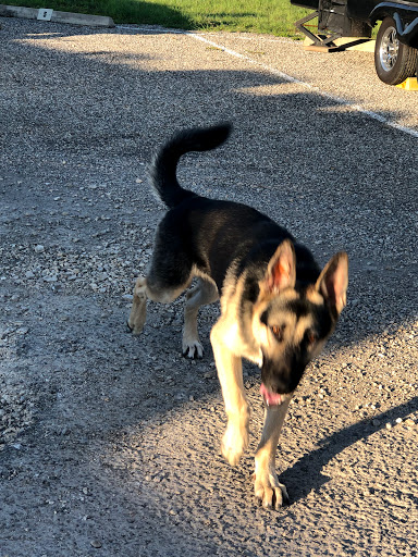 Self-Storage Facility «Lockaway Storage», reviews and photos, 200 Roy Richard Dr, Schertz, TX 78154, USA