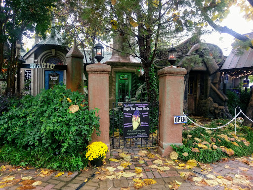 Magic Store «Magic Fun House», reviews and photos, 4100 Rowlett Rd #400, Rowlett, TX 75088, USA