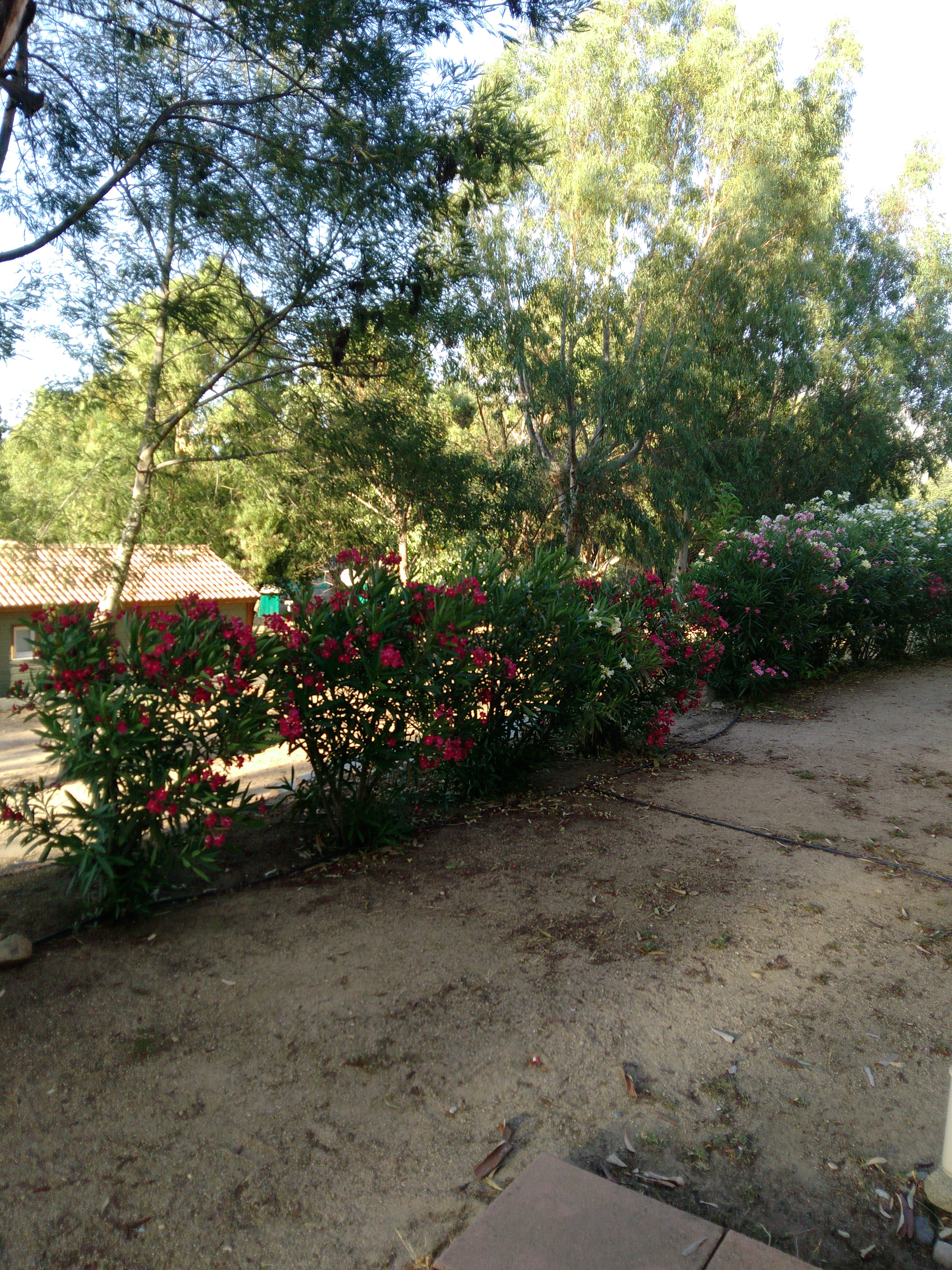 Photo n° 1 de l'avis de Pierre.r fait le 13/07/2017 à 17:35