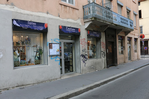 Bookstores open on Sundays Lyon