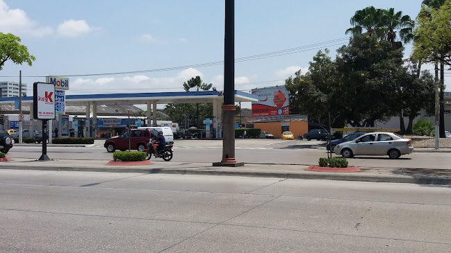Opiniones de Mobil Juan Tanca Marengo Lavadora de carro en Guayaquil - Gasolinera