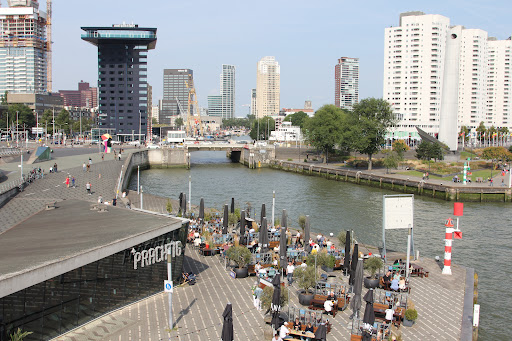 Terrassen met uitzicht Rotterdam