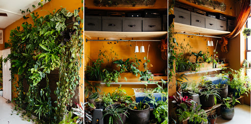 Concepts In Bloom, 378 SE Port St Lucie Blvd #1004, Port St Lucie, FL 34984, USA, 