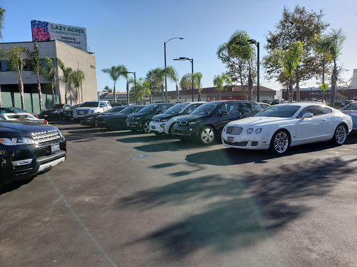 Platinum Autohaus image